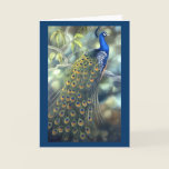 Peacock Card