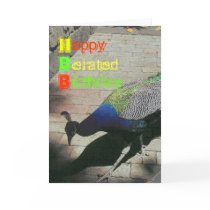 Peacock Card
