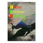 Peacock Card