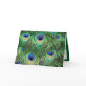 Peacock-Card - You're Invited by ibGALLERY Peacock-Card - You're Invited