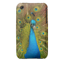 Peacock Case-mate Case Case-mate Iphone 3 Case