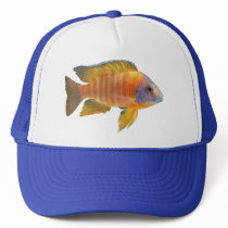 Peacock Cichlid Hat