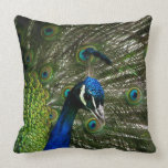 Peacock closeup throw pillow pillows