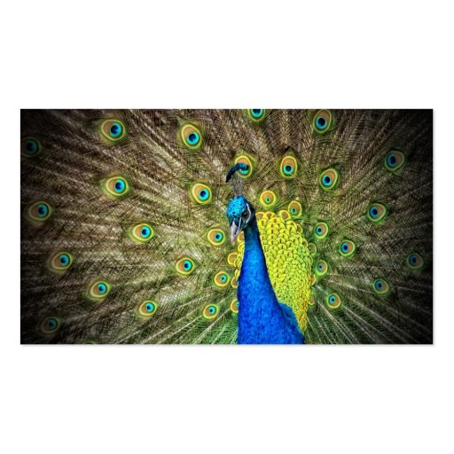 Peacock Color Beauty Business Cards