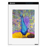 Peacock Dance Purple and Blue skins
