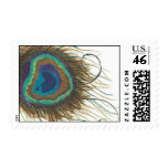 Peacock detail stamps