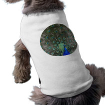 Peacock Dog T-shirt