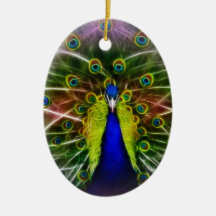 Peacock Dreamcatcher Ornaments