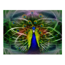 Peacock Dreamcatcher Post Card