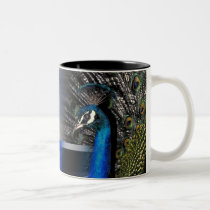 Peacock Dreams mugs