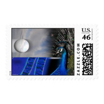 Peacock Dreams postage