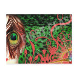 Peacock Eye 8 Pk. Postcard