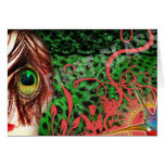 Peacock Eye cards