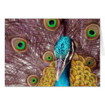 peacock face greeting card