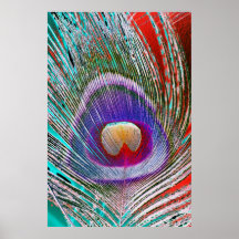 Peacock Feather 3 Print