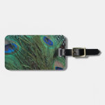 Peacock Feather and a Wicker Basket Bag Tag