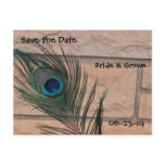 Peacock Feather and Bricks Wedding Post Card