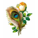 Peacock Feather and Rose t-shirts by renee869hello Peacock Feather and Rose t-shirts