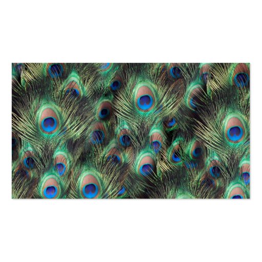 Peacock Feather Background Business Card (back side)