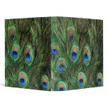 Peacock Feather 3 Ring Binders