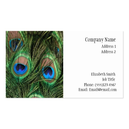 Peacock Feather Buiness Card Business Card Templates