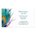 Peacock feather business card template