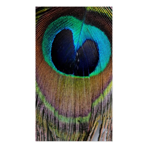 Peacock Feather Business Cards