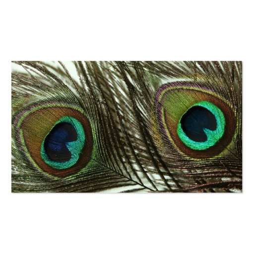 Peacock Feather Business Cards (back side)