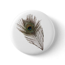 Peacock feather pin