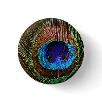 Peacock Feather buttons