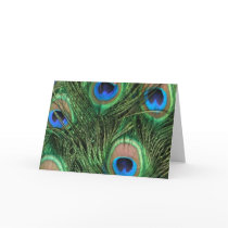 Peacock Feather Card by ChristyWyoming Peacock Feather Card
