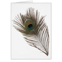 Peacock feather card