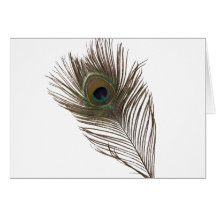Peacock feather cards
