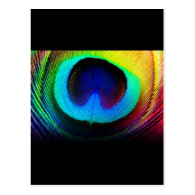 Peacock Feather Design Post Cards