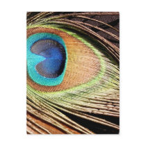 Peacock Feather Designs Postcard