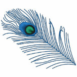 Peacock Feather Embroidered Shirt