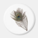 Peacock feather fridge magnets