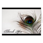 Peacock Feather Glamor Thank You Greeting Card