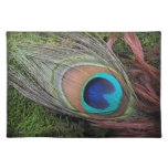 Peacock Feather/Green Moss Decor placemats