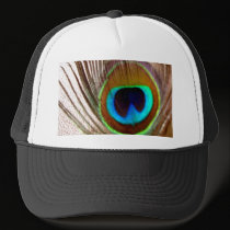 Peacock Feather hats
