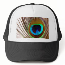 Peacock Feather hats