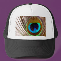 Peacock Feather hats