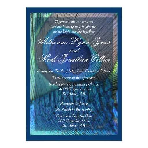 Peacock Feather Invitation with border