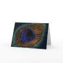 Peacock Feather Macro cards