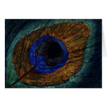 Peacock Feather Macro Greeting Card