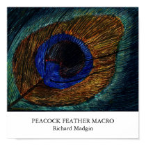 Peacock Feather Macro posters by richardmadgin Peacock Feather Macro posters