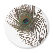 Peacock feather refrigerator magnet