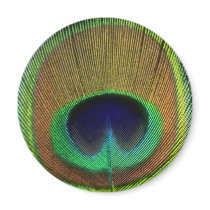 Peacock Feather Magnet