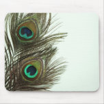 Peacock Feather Mousepad