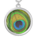 Peacock Feather Necklace
